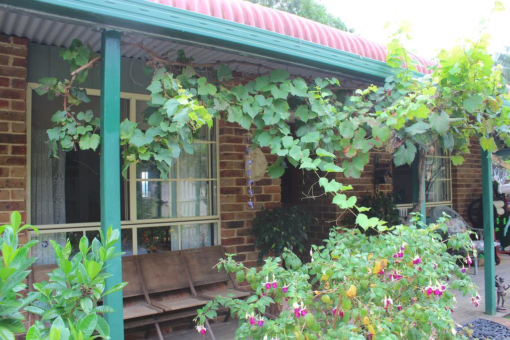 Blue Gum Cottage On Bay Bensville Phòng bức ảnh